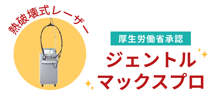 ジェントルマックスプロ